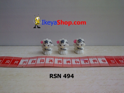 rsn 494  large2